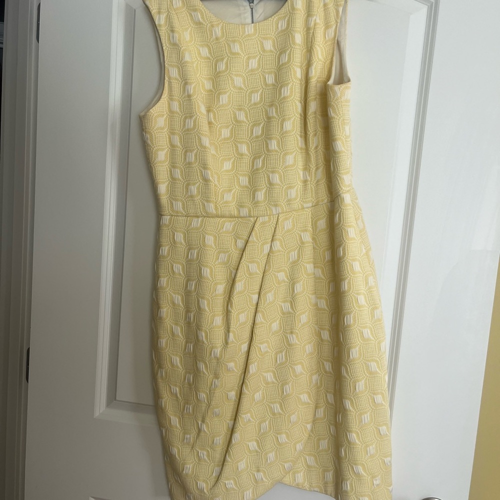 Very classy sleeveless dress.  Limited brand